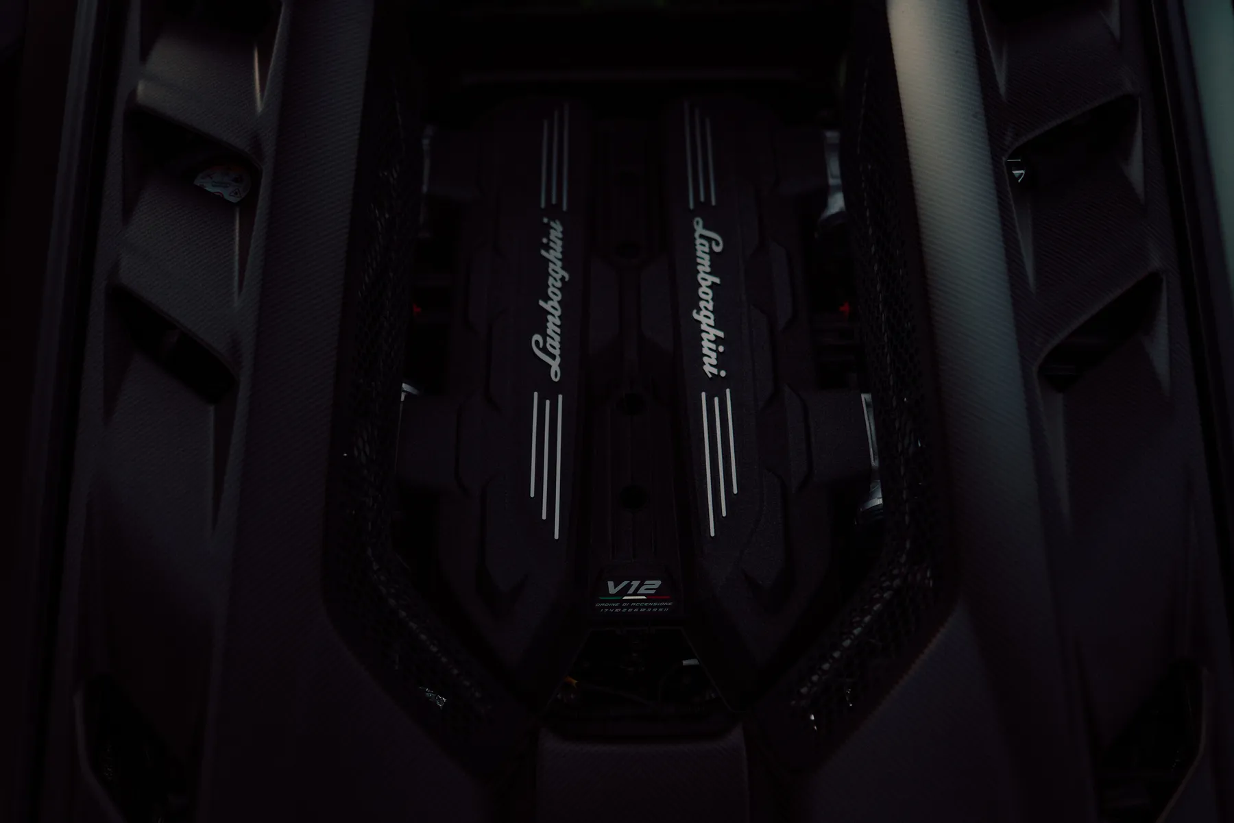 V12 engine bay under open cover